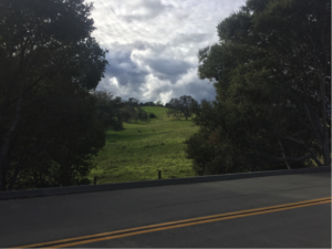 clouds over green hills