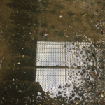 grate reflection