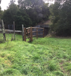 tunnel entrance from rural side