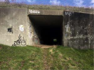 tunnel entrance.lead photo